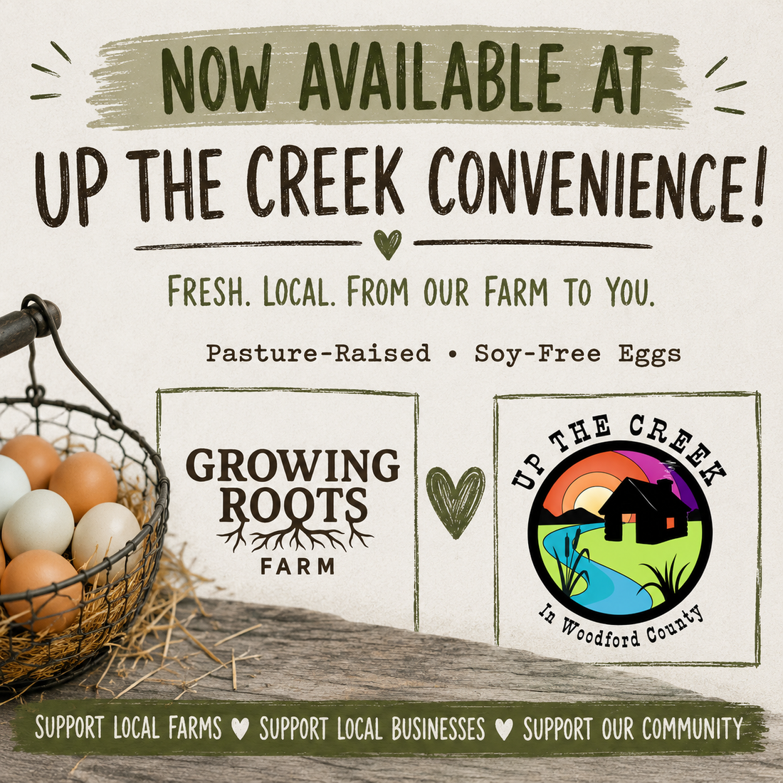 Growing Roots Farm Eggs Are Now Available at Up the Creek Convenience!
