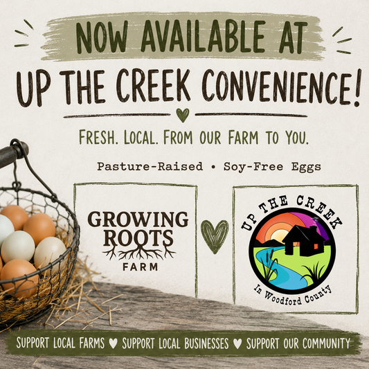 Growing Roots Farm Eggs Are Now Available at Up the Creek Convenience!