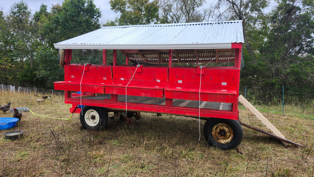 How Chicken Math Led to the Construction of The Little Red Hen House