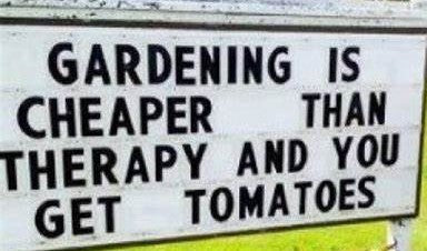 Tour of an Imperfect Garden