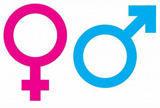 The Problem with Gender Identification