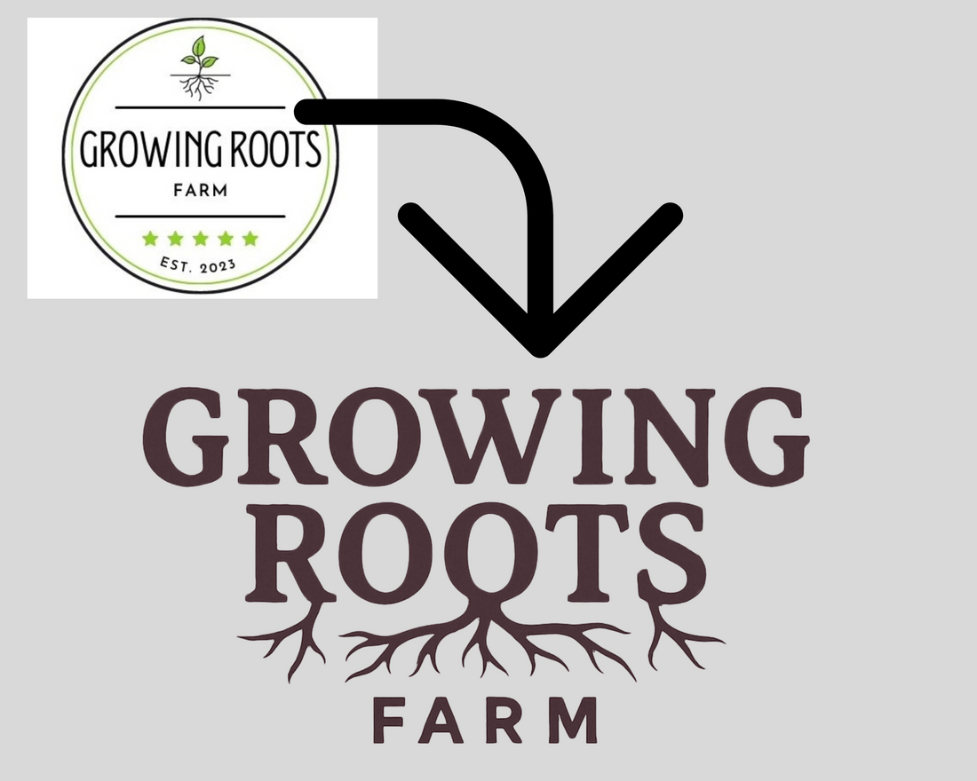 New Look, Same Roots!