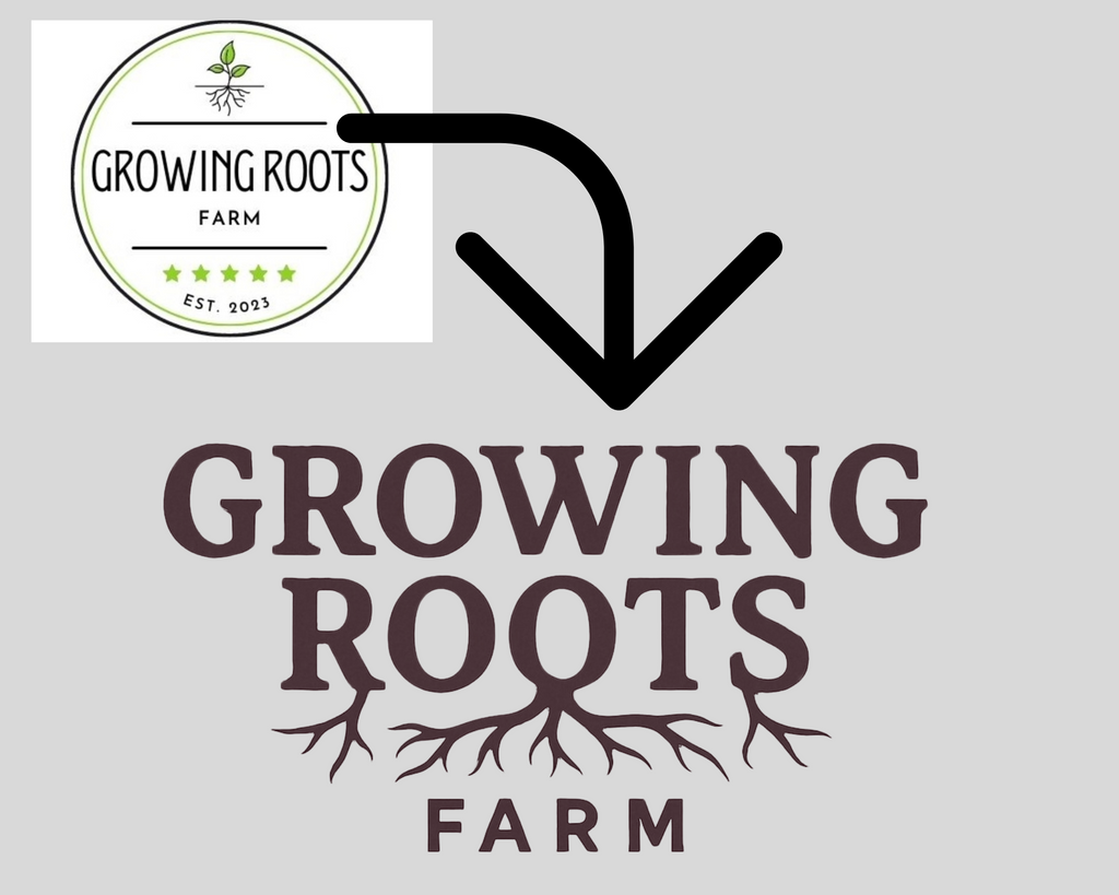 New Look, Same Roots!