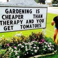 Introduction to Our Garden