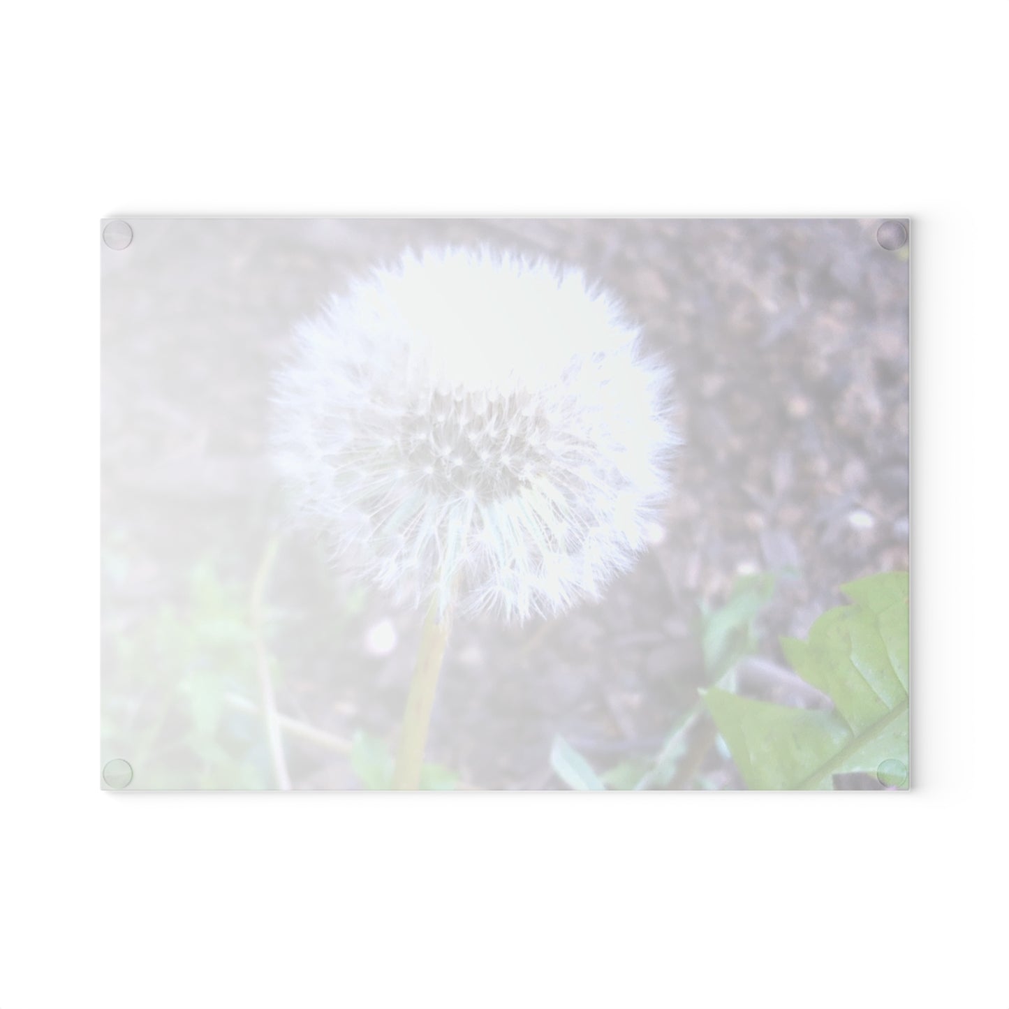 Dandelion Photo Glass Cutting Board — Nature-Inspired Decorative Chopping Board
