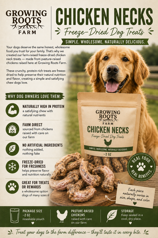 Freeze-Dried Chicken Neck Chews – Pasture Raised