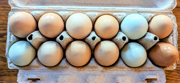 Farm Fresh Eggs - One Dozen