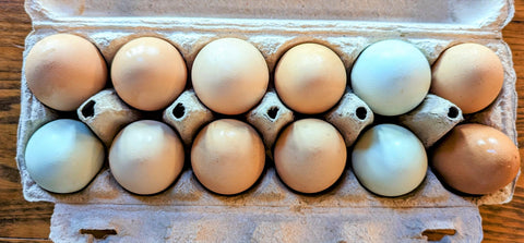 Farm Fresh Eggs