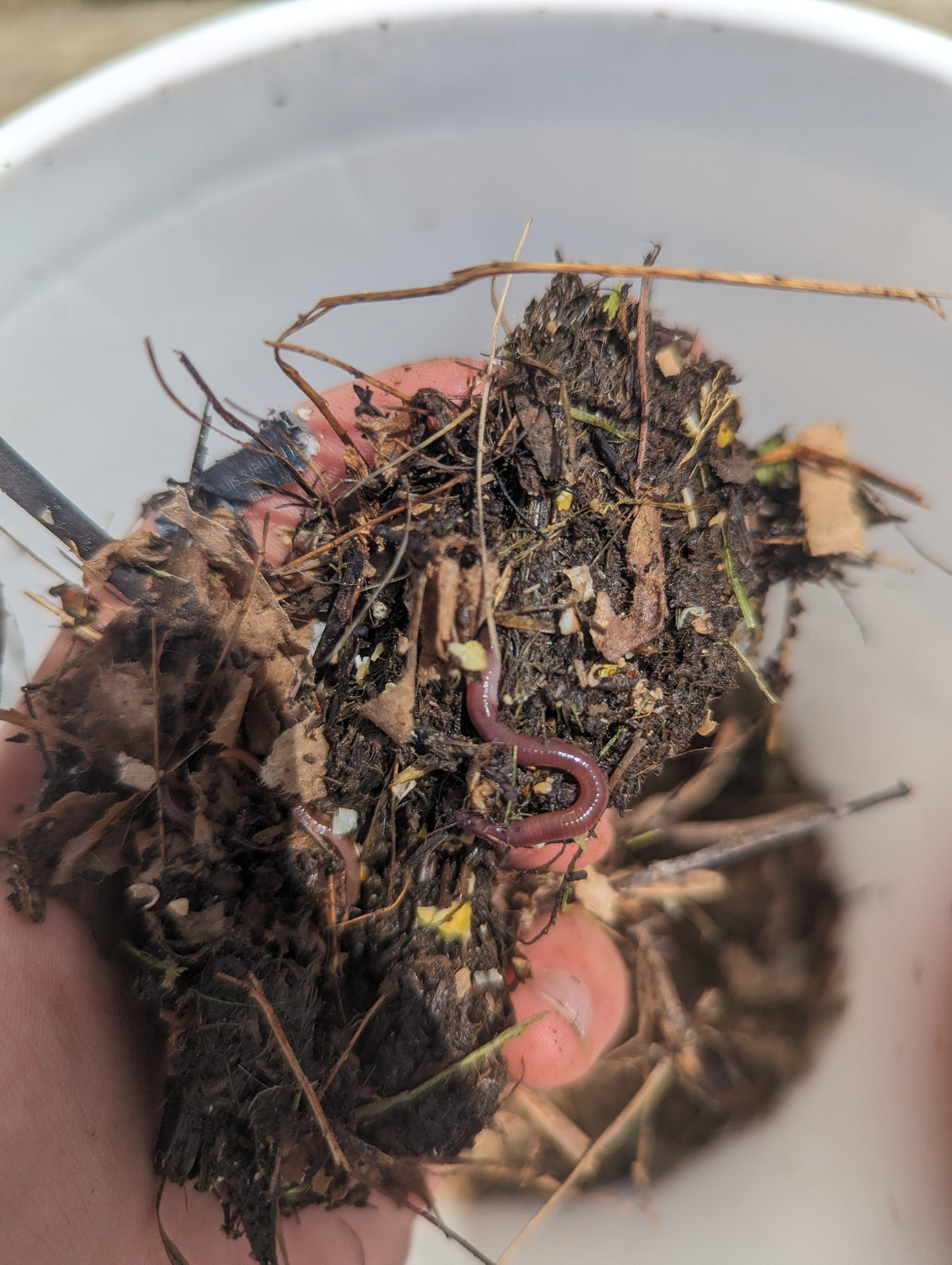Worm Composting Bin – Red Wigglers or Nightcrawlers, 3-Bucket Design