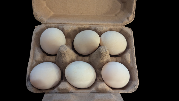 Duck Eggs - Pasture Raised - 1/2 Dozen