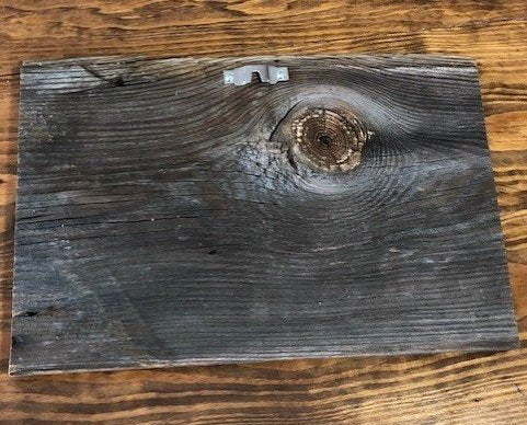 Barn Wood Sign - Owl in Tree